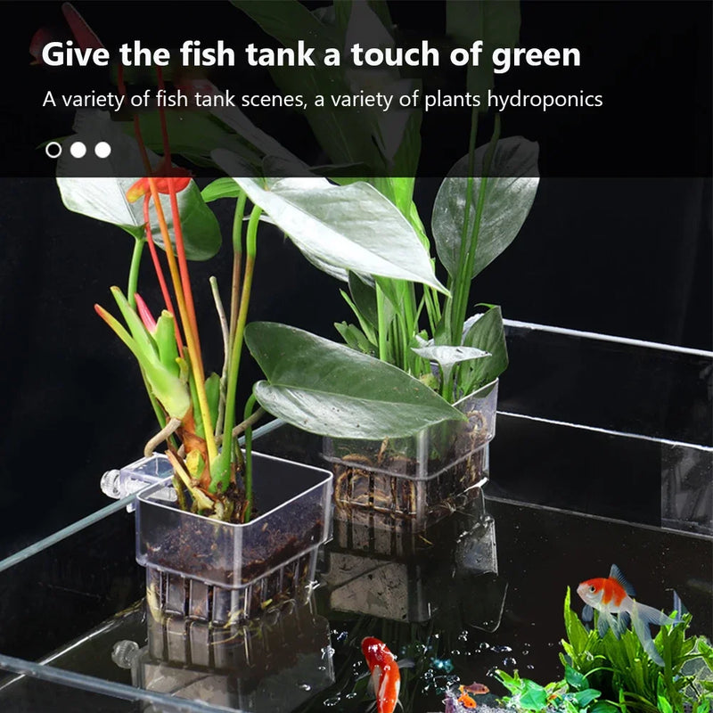 AquaBloom Pflanzenkorb für Aquarium | Transparenter Hängekorb | Für Aquarienpflanzen & Dekoration