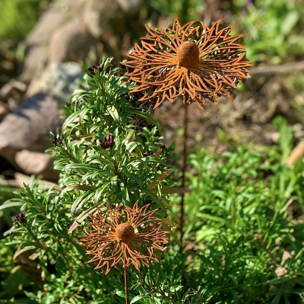 FLORUSTA Gartenstecker Bluebonnet | Rostoptik Metall | Rustikale Gartendeko