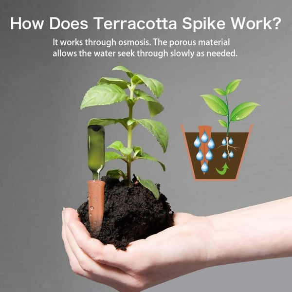 Bewässerungsspikes TERRAFINA | 4er-Set | Selbstbewässerung aus Ton | Für Innen- & Außenpflanzen | Urlaubsbewässerung