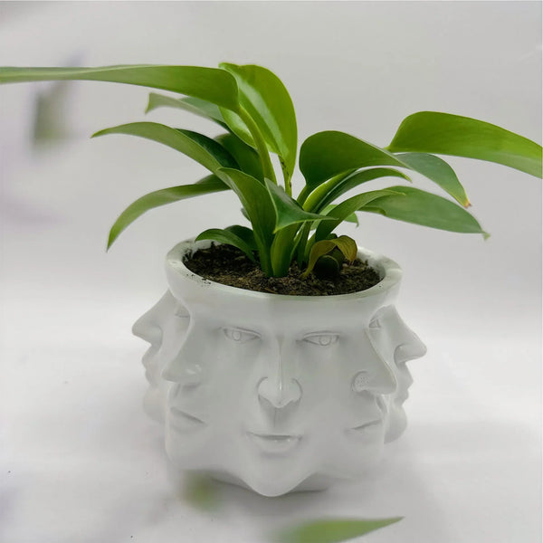 Blumentopf VISAGIO | 3D Gesichtsdesign | Künstlerisches Wohnaccessoire | 12,5 x 10,5 cm | Für Zimmerpflanzen & Deko