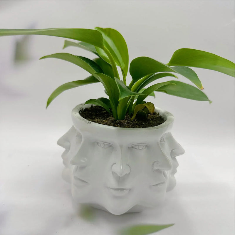 Blumentopf VISAGIO | 3D Gesichtsdesign | Künstlerisches Wohnaccessoire | 12,5 x 10,5 cm | Für Zimmerpflanzen & Deko