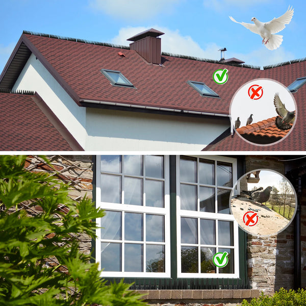 SafeWing 12/20er-Set Vogelabwehr-Spikes | Abnehmbar & Tierfreundlich | Anti-Kletter-Schutz für Zaun, Fensterbank & Dachkante