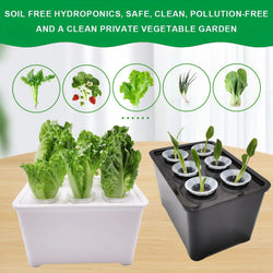 Hydroverde Indoor-Grow-Set Hydroponisches Anzuchtsystem für Innenräume | Selbstbewässerndes Mini-Gewächshaus | 12×18×10,5 cm | Für Kräuter & Stecklinge
