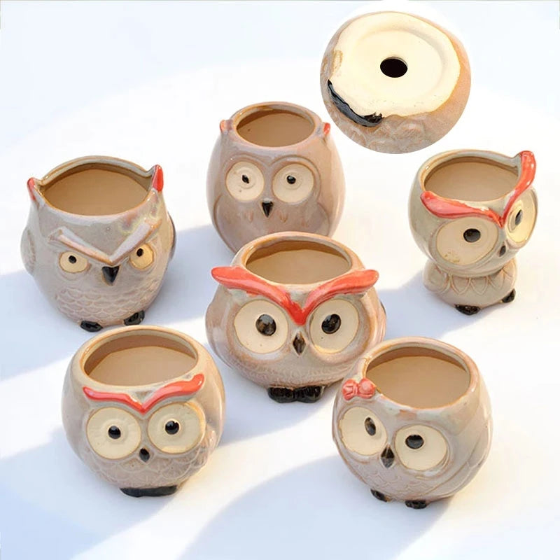 Owlivia | Keramik Eulen Blumentopf | Für Sukkulenten & Kakteen | Dekoration & Geschenkidee