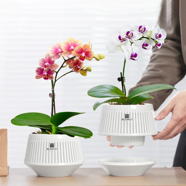 Aëria Orchid Pot | Belüfteter Pflanztopf mit Drainagelöchern | 12 cm | Robustes PP-Material für Indoor & Outdoor