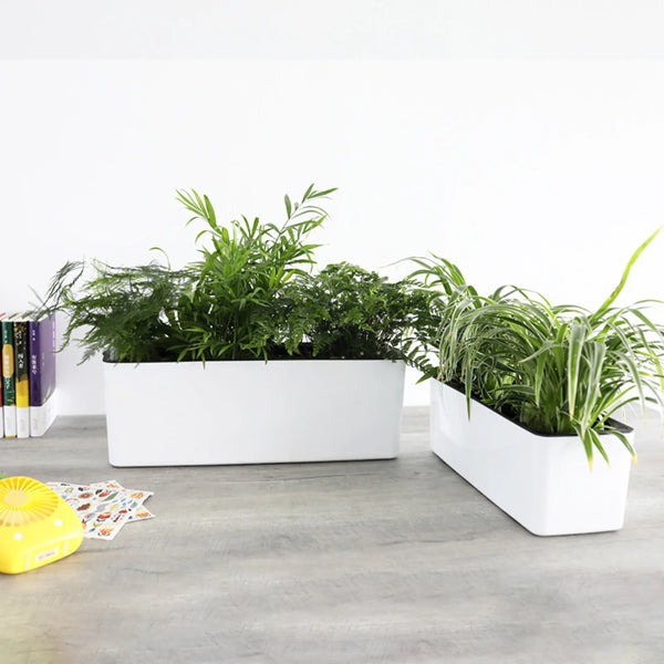 AquaFloraBox Selbstbewässernder Blumenkasten | Rechteckiger Pflanzkübel mit Wasserstandsanzeige | Für Balkon, Garten & Büro