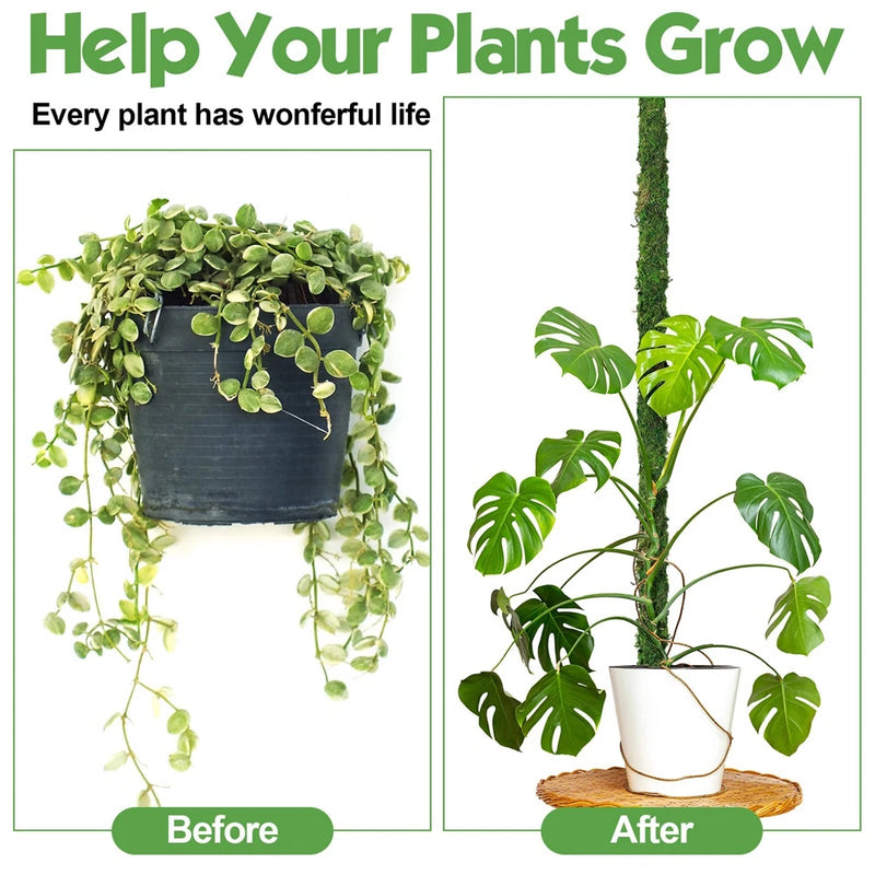 GreenFlex MossPole Biegsame Moosstäbe für Pflanzen | Handgefertigte Rankhilfe für Monstera & Zimmerpflanzen | 45 × 3 cm