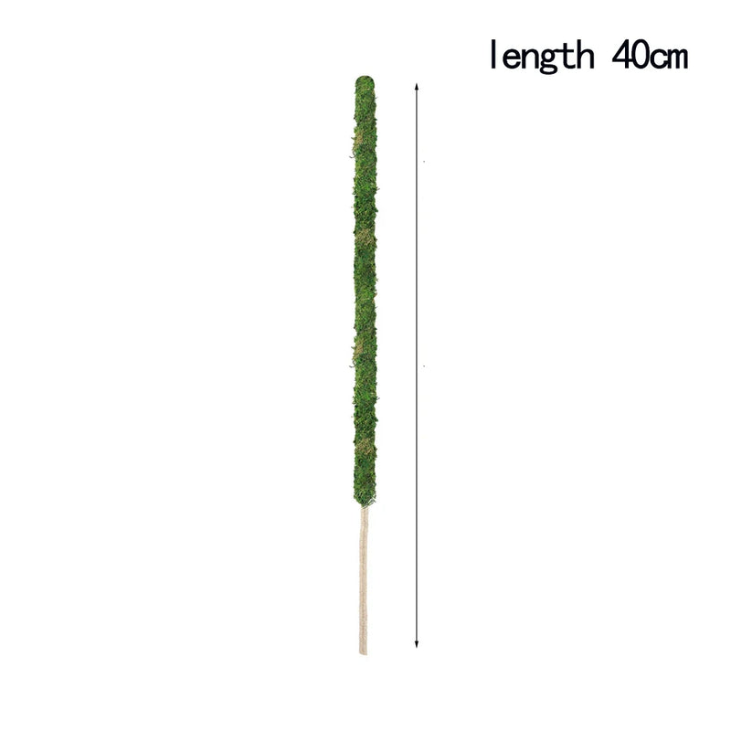GreenFlex MossPole Biegsame Moosstäbe für Pflanzen | Handgefertigte Rankhilfe für Monstera & Zimmerpflanzen | 45 × 3 cm