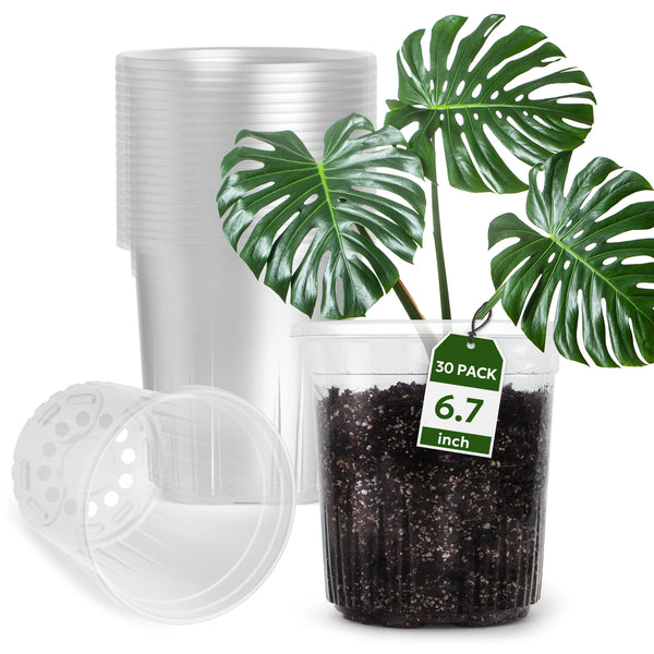 Pflanztöpfe TransparaGrow | 10er-Set | 1 Gallone (ca. 3,8 L) | Transparent & Verstärkt | Mit Drainagelöchern | Ø 17 cm