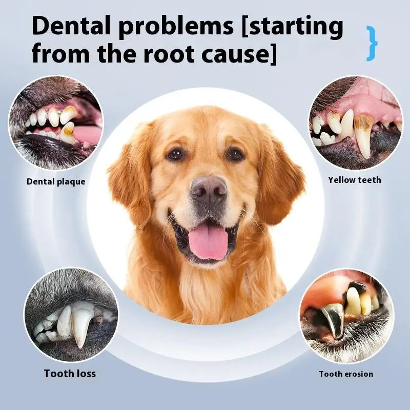 DentoraSonic | Ultraschall-Zahnpflegegerät für Hunde & Katzen | 5-Stufen Zahnsteinentferner | USB-Aufladung