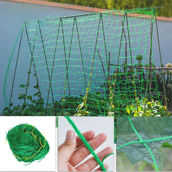 CLIMBEX Ranknetz für Pflanzen | Windschutz & Kletterhilfe | Für Gurken, Wein, Blumen & mehr – 1 Stück