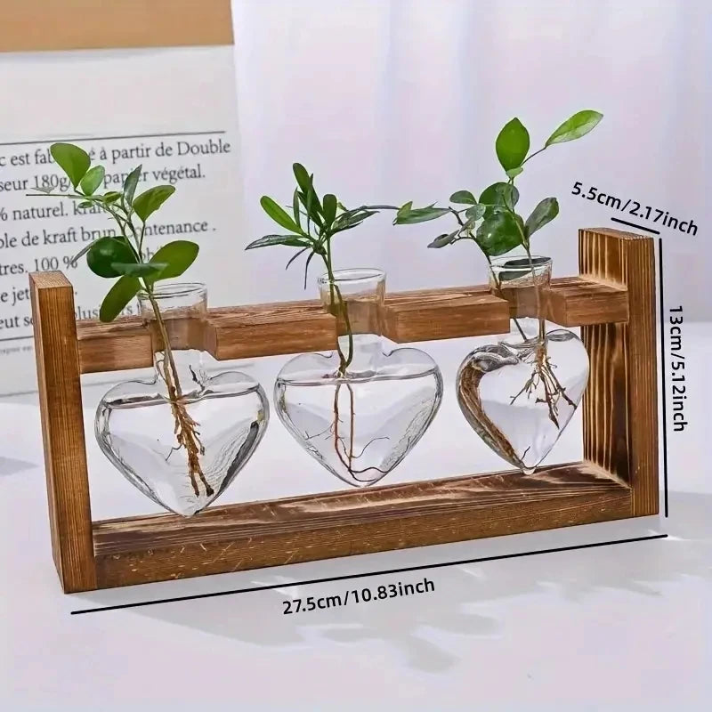 Hydrokultur-Vase Virella | Herzförmiges Glas im Holzrahmen | Dekorativ & Modern | Für Ableger & Zimmerpflanzen