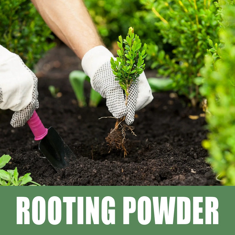RootForce Bio | Wurzelpulver für Pflanzenwachstum & Hydrokultur | 50 g / 100 g | Schnelle Bewurzelung & Bodenaktivierung