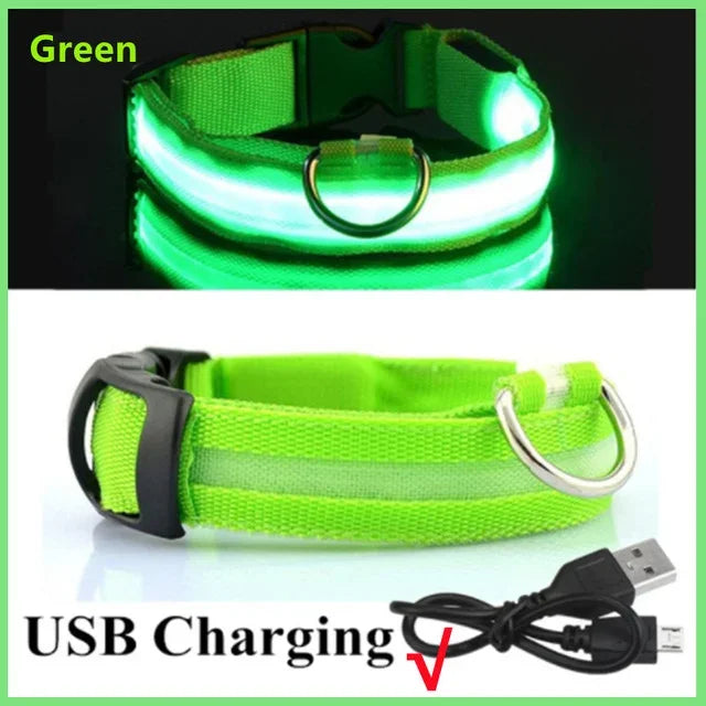 LUXPETS GlowSafe LED Hundehalsband | Leuchtend & Wiederaufladbar | Verstellbar & Wasserdicht | Anti-Verlust bei Nacht