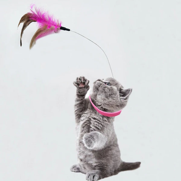 Flauschino Katzen-Halsband mit Spielstab | Selbstbeschäftigung & Interaktives Spiel | Mit Feder & Glöckchen | Für aktive Stubentiger