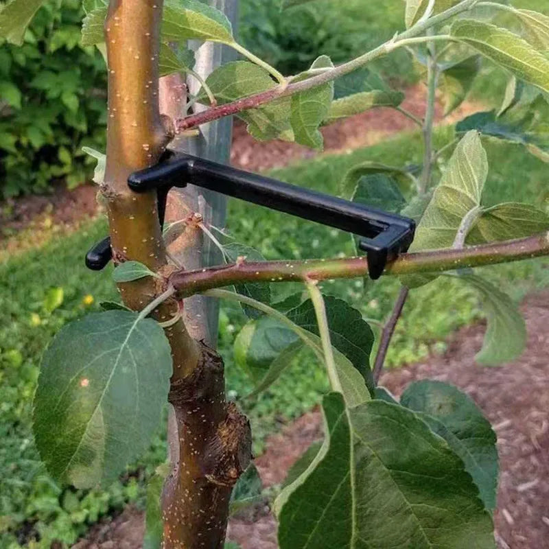 FlexGrow Clip | Pflanzen-Bender zur Wachstumskontrolle | 10 / 30 Stück | 9 × 4 × 1 cm | Für Low-Stress-Training & höhere Erträge