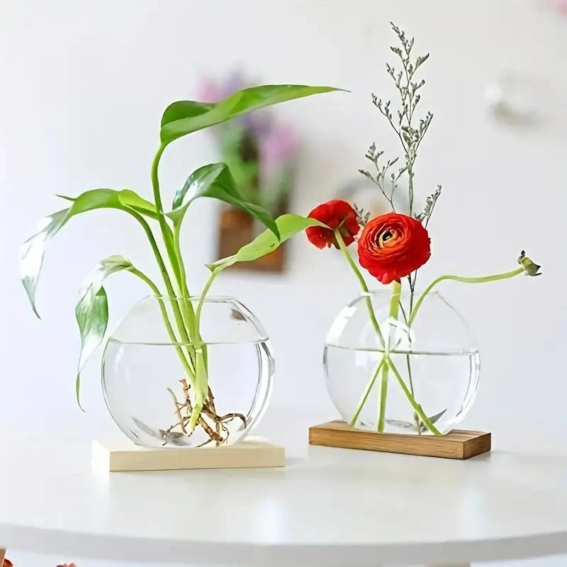 Verdura 2er-Set Glas Terrarium mit Holzständer | Reagenzglas-Vasen für Stecklinge & Hydrokultur | Moderne Deko für Zuhause & Büro
