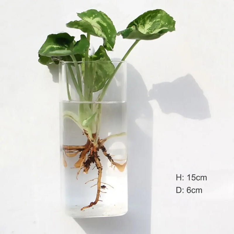 Glas Blumenvase | Transparent & Minimalistisch | Hitzebeständig & Korrosionsfest | 100 g