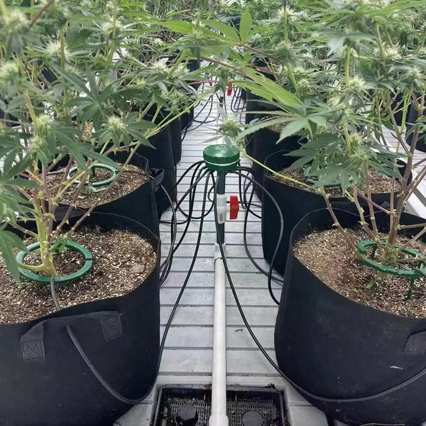 HYDROTRI Pflanzentropfer mit 3-Bein-Ständer | Präzises Bewässerungssystem für Zimmer- & Gartenpflanzen | Wassersparend & Stabil