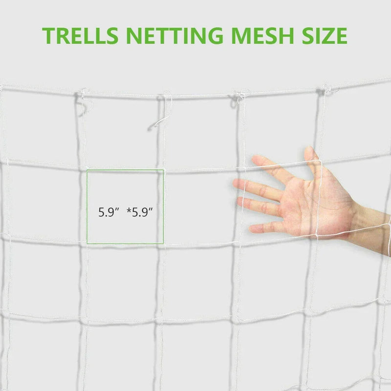 VertiGrow Pflanzen-Kletternetz 10 m | Robust & UV-beständig | Platzsparende Rankhilfe für Gemüse & Blumen