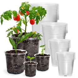 ClarityGrow Pflanztopf-Set | 30er Set Transparent | 6,7" + 5" + 4" | Flexibel, Robust & mit Drainagelöchern