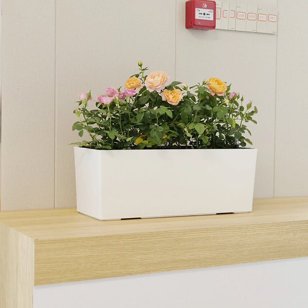 AquaFloraBox Selbstbewässernder Blumenkasten | Rechteckiger Pflanzkübel mit Wasserstandsanzeige | Für Balkon, Garten & Büro