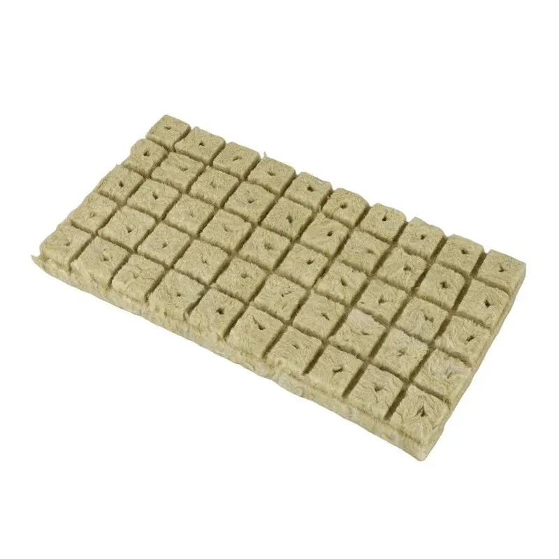 Anzuchtwürfel GrowCube | Für Hydrokultur & Anzucht | Luftdurchlässig & Wasserabsorbierend | 50er-Set à 2,5×2,5×2,5 cm