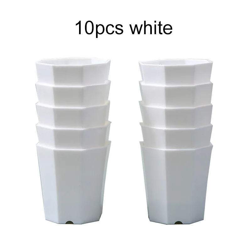 FloraForm Octa | 10er-Set Achteckige Blumentöpfe | Schwarz & Weiß | Atmungsaktiv | Für Sukkulenten & Setzlinge | Ø 8 cm