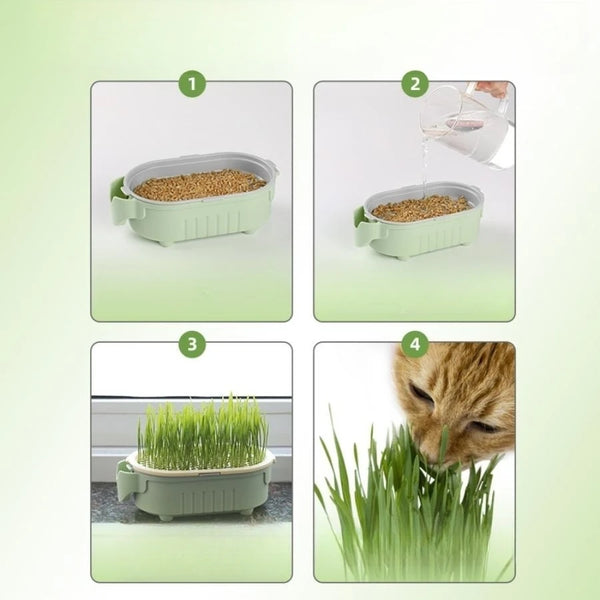 Hydrokultur-Pflanzbecher Plantiva EasyGrow | Für erdlose Anzucht & Hydrosysteme | Wiederverwendbar & atmungsaktiv
