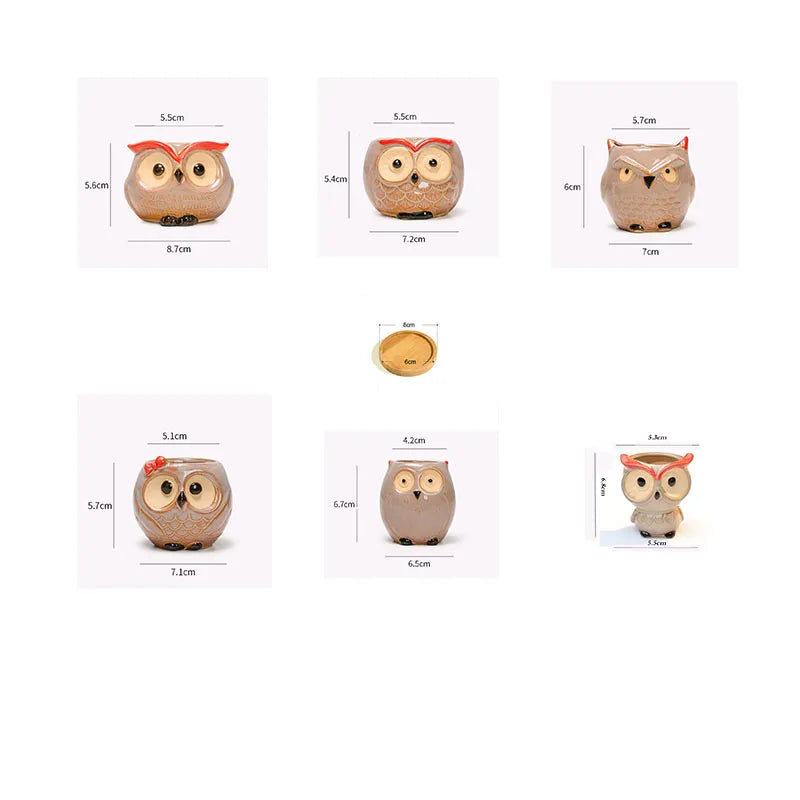 Owlivia | Keramik Eulen Blumentopf | Für Sukkulenten & Kakteen | Dekoration & Geschenkidee