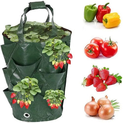 Growpura Pflanzsack Gemüse & Erdbeeren | 3 Gallonen PE Anzuchttasche mit Taschen | Wiederverwendbar & Wasserdicht