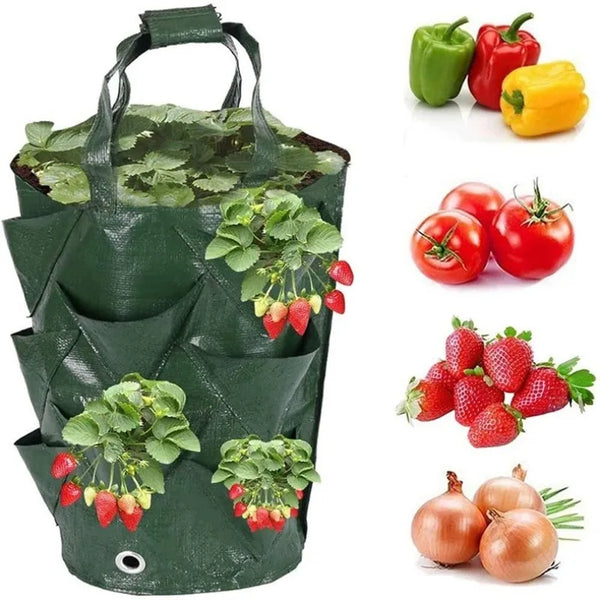 Growpura Pflanzsack Gemüse & Erdbeeren | 3 Gallonen PE Anzuchttasche mit Taschen | Wiederverwendbar & Wasserdicht