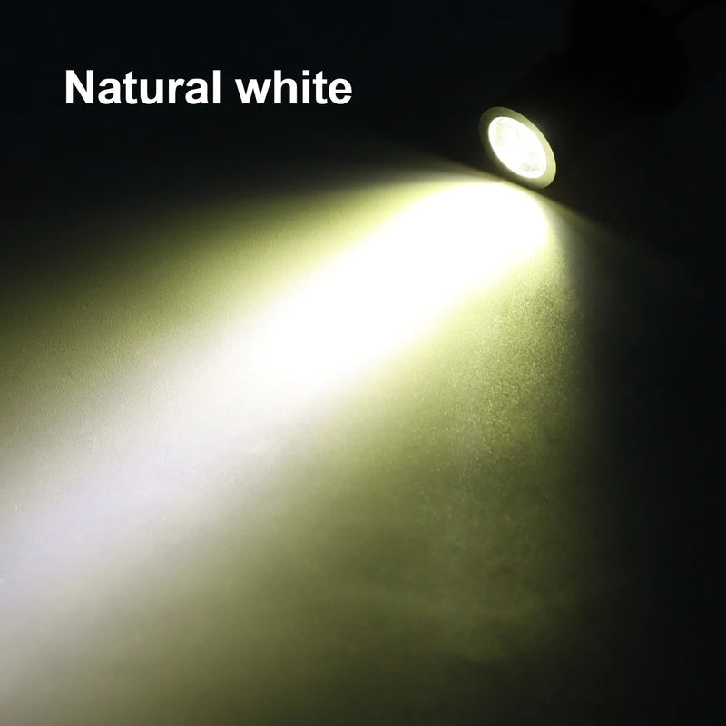 LumiSpot Mini USB LED-Spotlight | 1W Drehbar & Aufputzmontage | 5V Deckenstrahler für Vitrine, Regal & Theke