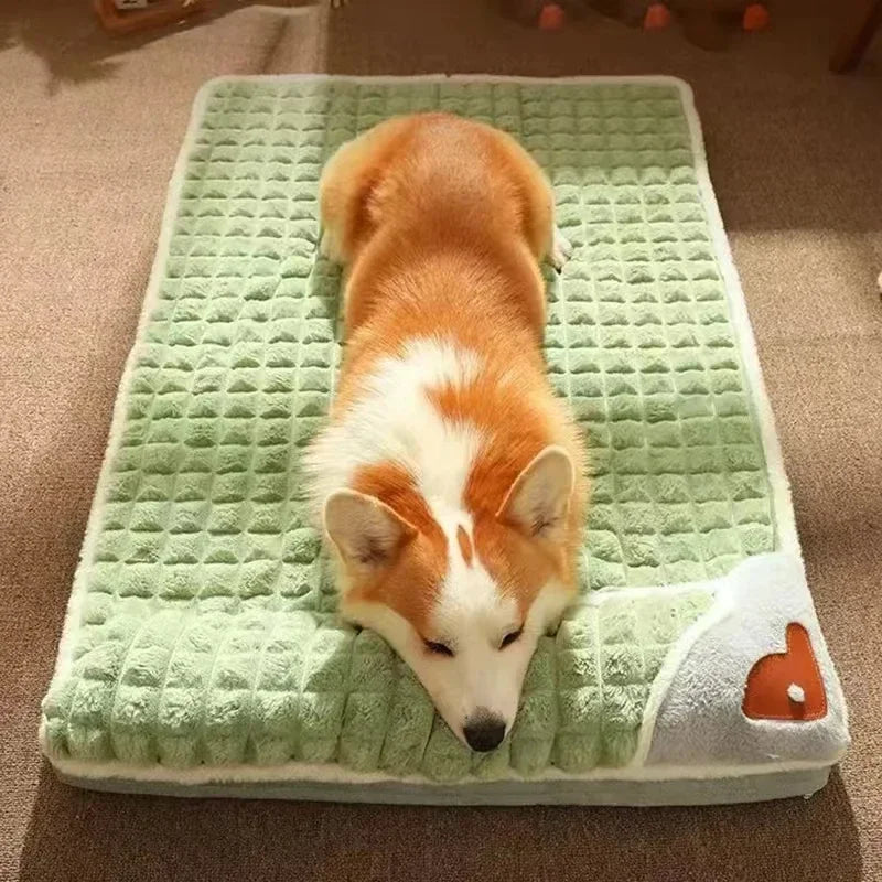 PAWSOMNIA Orthopädisches Hundebett | Abnehmbarer Bezug & Waschbar | Memory Foam | Für Hunde & Katzen
