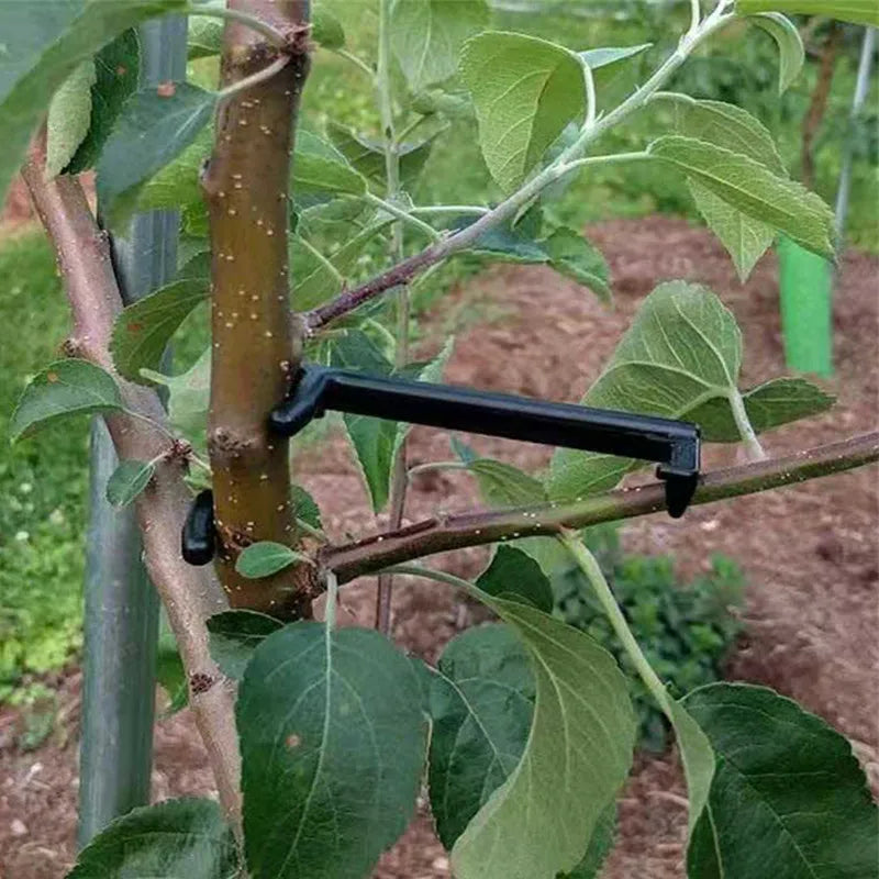 FlexGrow Clip | Pflanzen-Bender zur Wachstumskontrolle | 10 / 30 Stück | 9 × 4 × 1 cm | Für Low-Stress-Training & höhere Erträge