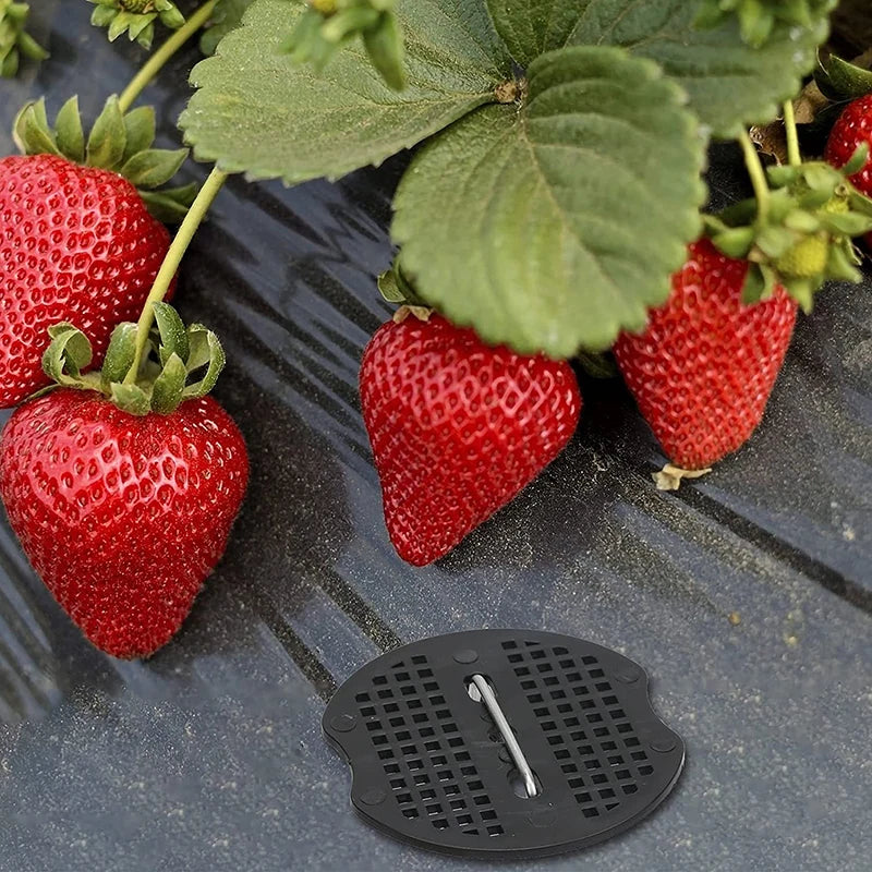 GrünHäng Pflanztasche mit 4/6/8/10 Öffnungen | Hängend & Atmungsaktiv | Für Erdbeeren, Tomaten & Kräuter | Robustes Canvas-Gewebe