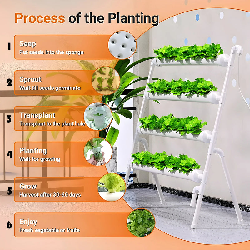 HydroGrow36 | Hydroponisches Anzuchtsystem mit 36 Pflanzplätzen | PVC-Pipeline für Gemüse & Kräuter | Komplettes Hydroponik-Set