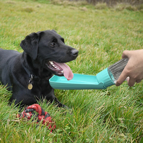 Hunde-Trinkflasche Lapuro FoldDrink | Faltbarer Wasserspender für unterwegs | 550 ml | Für kleine & große Hunde und Katzen