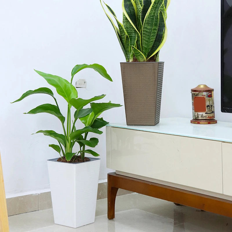 Brickora StylePot Blumentopf im Ziegelstein-Design | Rechteckig & Hoch | Selbstbewässernd mit Baumwollseil | 27,2×12×17,5 cm / 17,2×12×8,6 cm