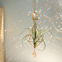 LuftGlanz Geometrischer Pflanzenhalter | Goldener Hängender Airplant-Halter | Dekorativer Suncatcher mit Kristall für Zuhause & Garten