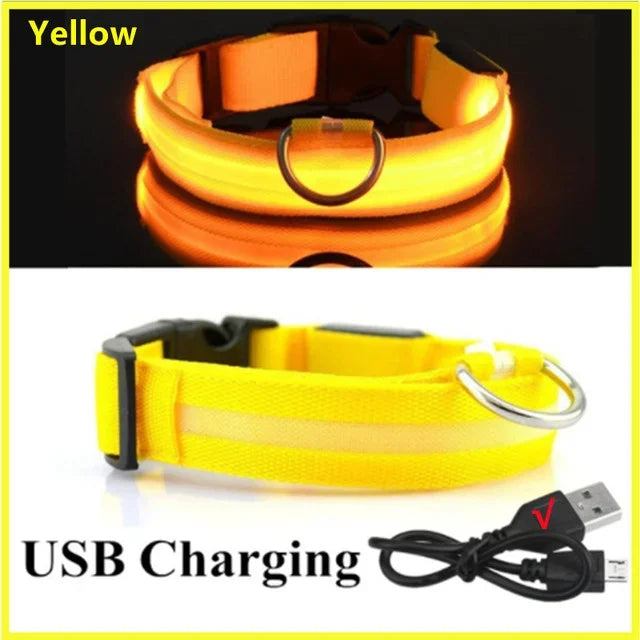 LUXPETS GlowSafe LED Hundehalsband | Leuchtend & Wiederaufladbar | Verstellbar & Wasserdicht | Anti-Verlust bei Nacht
