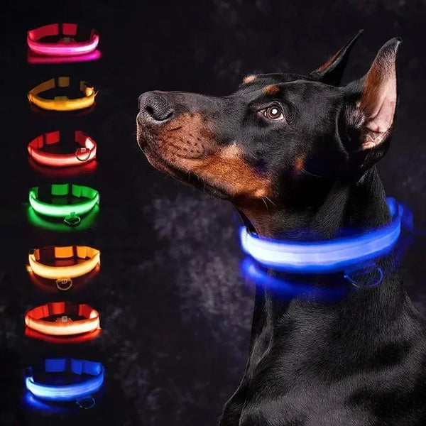 LUXPETS GlowSafe LED Hundehalsband | Leuchtend & Wiederaufladbar | Verstellbar & Wasserdicht | Anti-Verlust bei Nacht