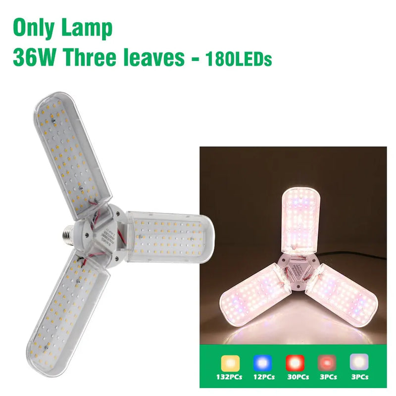 Floravolt GrowPro LED Pflanzenlampe Vollspektrum | Klappbar mit Stativ | Zeitschaltuhr & Höhenverstellbar | Für Indoor-Zucht & Wachstum