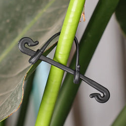 ClipVine Pro | 50/100er-Set Pflanzenclips aus Kunststoff | Für Tomaten, Reben & Gemüsepflanzen | 6,5 × 1 cm | UV-beständig