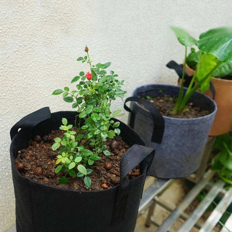 Growtura Pflanztasche 30×25 cm mit Griffen | 5 Gallonen | Atmungsaktiv & Wiederverwendbar | Für Gemüse, Kräuter & Balkonpflanzen