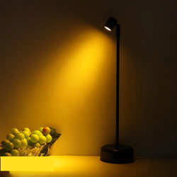 Atmosphäre Lampe LumoSense | LED & USB Ladefunktion | Touch Dimmbar | Minimalistisches Vintage-Design