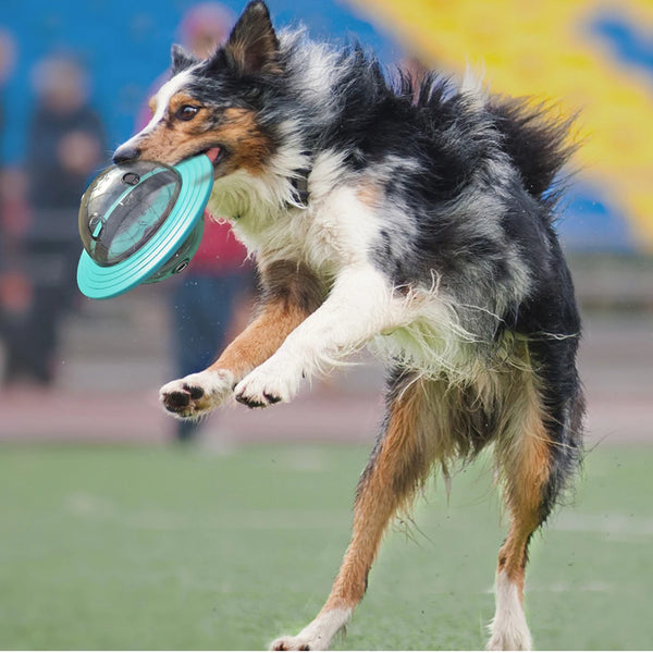 SmartPlay Disc Hunde- & Katzenspielzeug | Interaktiver Futterspender & Intelligenztrainer | Flugscheibe & Slow Feeder