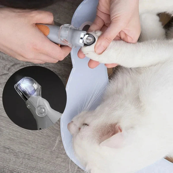 LED Krallenschneider PawBright | Sichere Nagelpflege für Haustiere | Edelstahl & Ergonomischer Griff