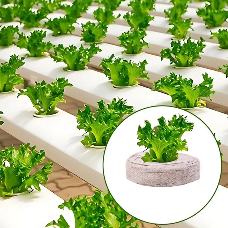 Coconura 100 Stück Kokos-Quelltabletten für Pflanzenanzucht | Nährstoffreiche Kokoserde | Ideal für Setzlinge, Gewächshaus & Hydrokultur