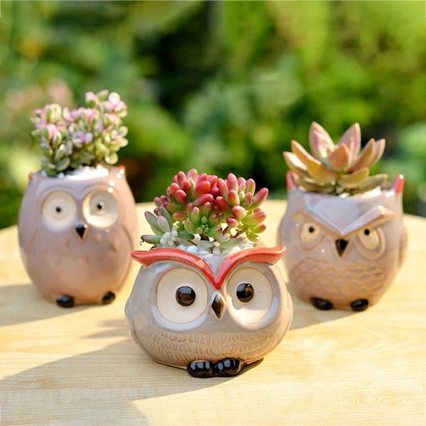 Owlivia | Keramik Eulen Blumentopf | Für Sukkulenten & Kakteen | Dekoration & Geschenkidee